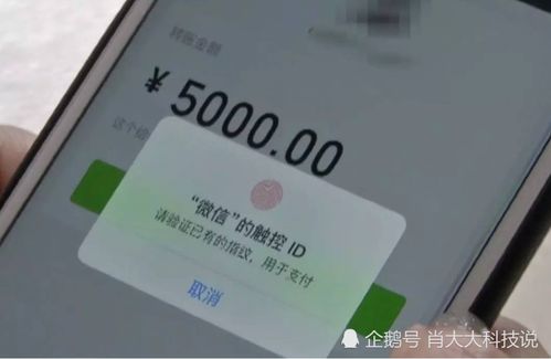 鴻蒙系統(tǒng)的挑戰(zhàn) 為何Teams安裝問題成為用戶關注的焦點